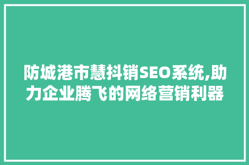 防城港市慧抖销SEO系统,助力企业腾飞的网络营销利器