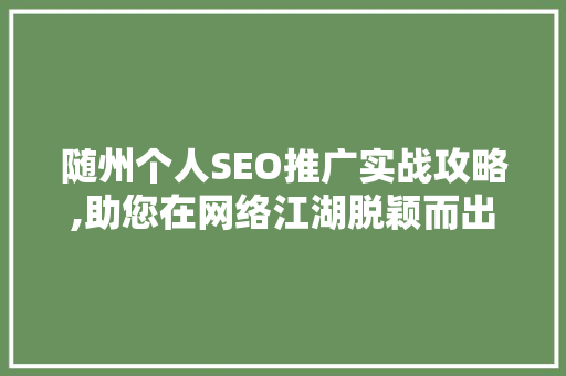 随州个人SEO推广实战攻略,助您在网络江湖脱颖而出