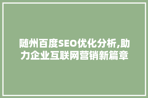 随州百度SEO优化分析,助力企业互联网营销新篇章