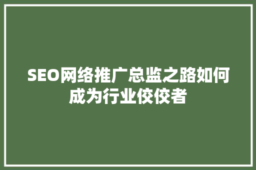 SEO网络推广总监之路如何成为行业佼佼者