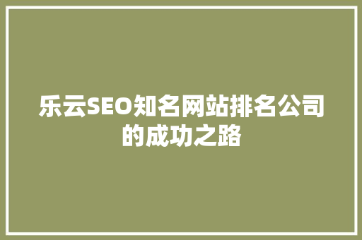 乐云SEO知名网站排名公司的成功之路