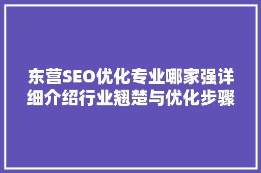 东营SEO优化专业哪家强详细介绍行业翘楚与优化步骤
