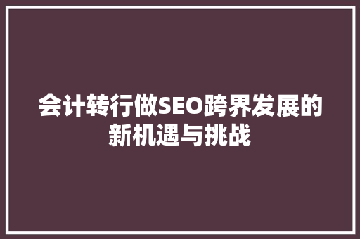 会计转行做SEO跨界发展的新机遇与挑战