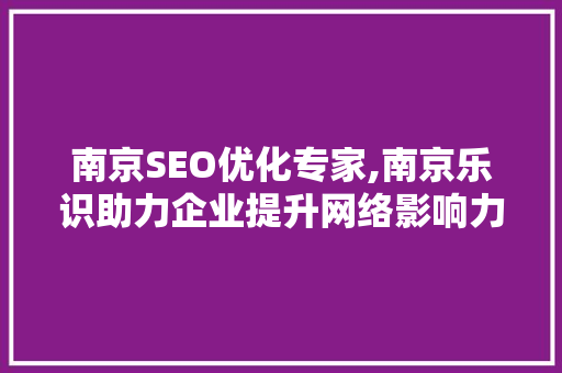 南京SEO优化专家,南京乐识助力企业提升网络影响力