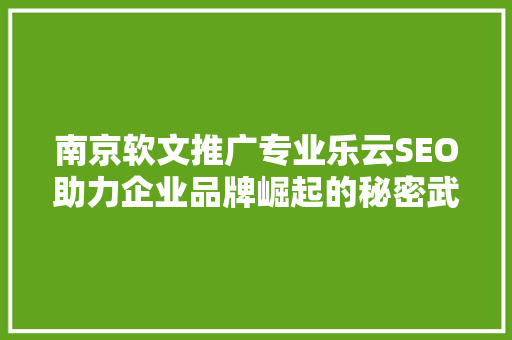 南京软文推广专业乐云SEO助力企业品牌崛起的秘密武器