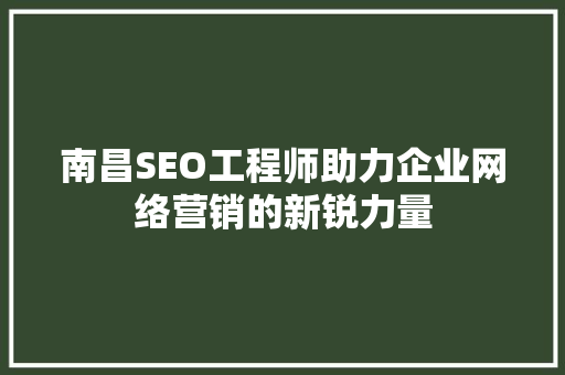 南昌SEO工程师助力企业网络营销的新锐力量