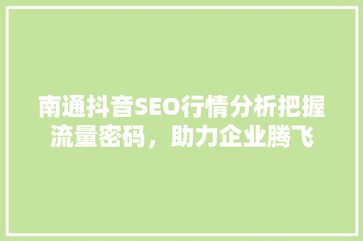 南通抖音SEO行情分析把握流量密码，助力企业腾飞