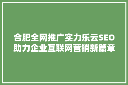 合肥全网推广实力乐云SEO助力企业互联网营销新篇章
