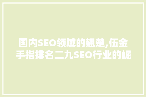 国内SEO领域的翘楚,伍金手指排名二九SEO行业的崛起之路