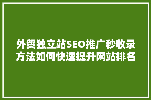 外贸独立站SEO推广秒收录方法如何快速提升网站排名  第1张