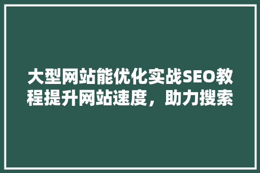 大型网站能优化实战SEO教程提升网站速度，助力搜索引擎排名  第1张