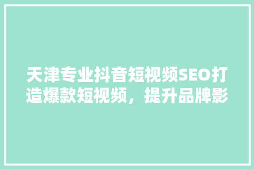 天津专业抖音短视频SEO打造爆款短视频，提升品牌影响力