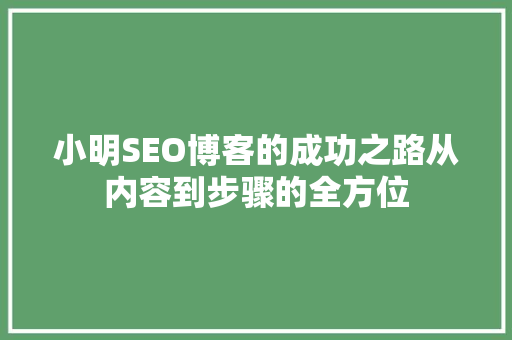 小明SEO博客的成功之路从内容到步骤的全方位