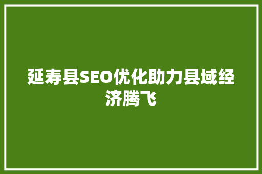 延寿县SEO优化助力县域经济腾飞