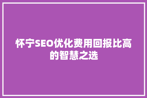 怀宁SEO优化费用回报比高的智慧之选