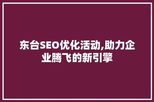 东台SEO优化活动,助力企业腾飞的新引擎