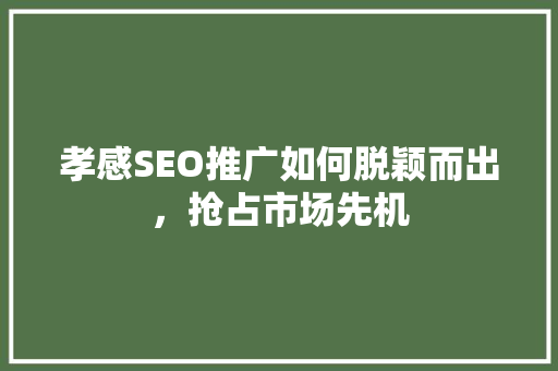 孝感SEO推广如何脱颖而出，抢占市场先机