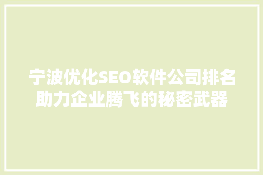 宁波优化SEO软件公司排名助力企业腾飞的秘密武器