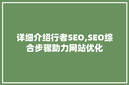 详细介绍行者SEO,SEO综合步骤助力网站优化