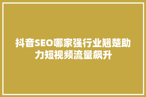 抖音SEO哪家强行业翘楚助力短视频流量飙升
