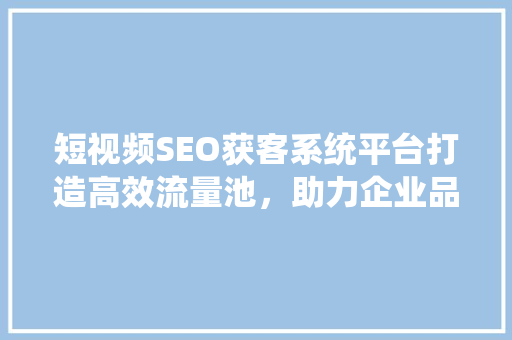 短视频SEO获客系统平台打造高效流量池，助力企业品牌崛起
