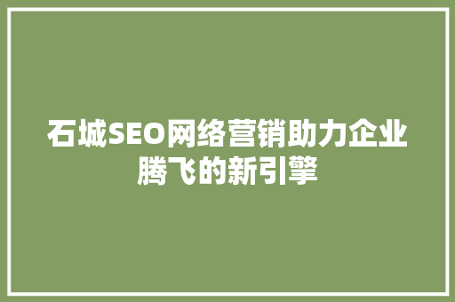 石城SEO网络营销助力企业腾飞的新引擎