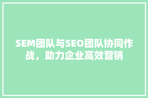 SEM团队与SEO团队协同作战，助力企业高效营销