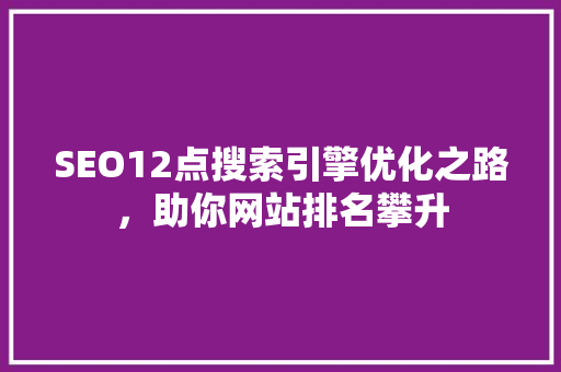 SEO12点搜索引擎优化之路，助你网站排名攀升