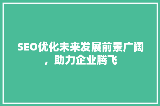 SEO优化未来发展前景广阔，助力企业腾飞  第1张