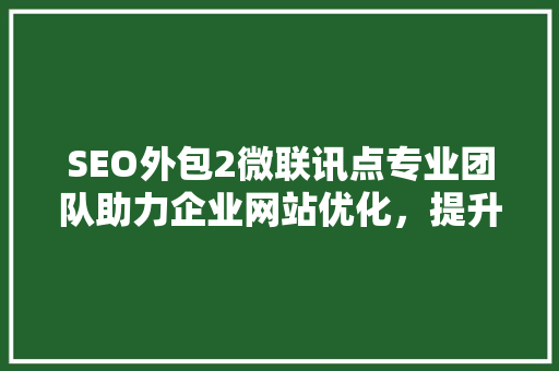 SEO外包2微联讯点专业团队助力企业网站优化，提升网络曝光率