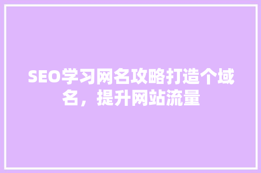 SEO学习网名攻略打造个域名，提升网站流量  第1张