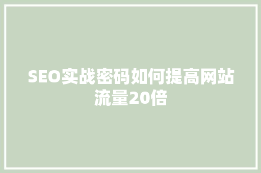 SEO实战密码如何提高网站流量20倍