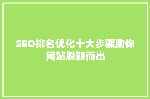 SEO排名优化十大步骤助你网站脱颖而出