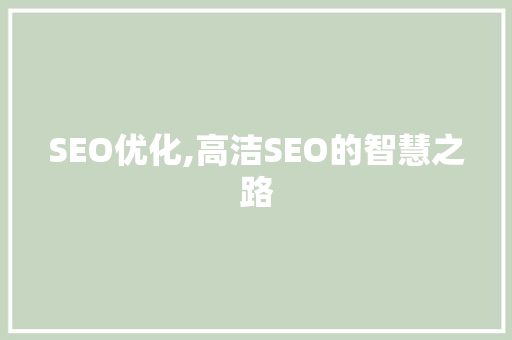 SEO优化,高洁SEO的智慧之路