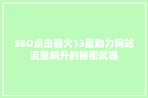 SEO点击器火13星助力网站流量飙升的秘密武器