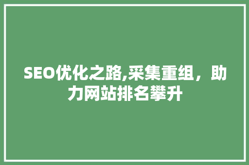 SEO优化之路,采集重组，助力网站排名攀升