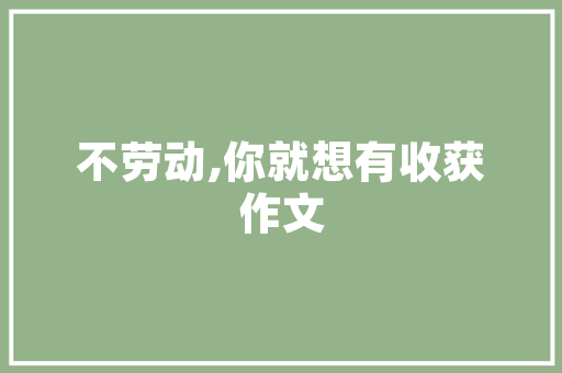 SEO跟踪如何使用标签有效阻止搜索引擎跟踪行为