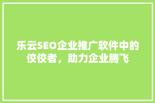 乐云SEO企业推广软件中的佼佼者，助力企业腾飞