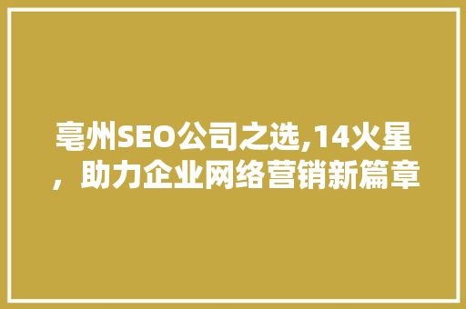 亳州SEO公司之选,14火星，助力企业网络营销新篇章