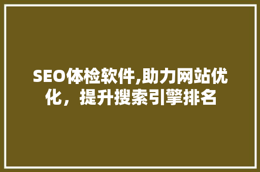 SEO体检软件,助力网站优化，提升搜索引擎排名