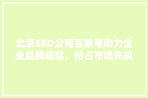 北京SEO公司百家号助力企业品牌崛起，抢占市场先机
