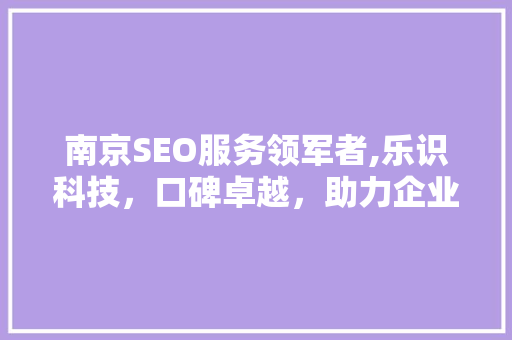 南京SEO服务领军者,乐识科技，口碑卓越，助力企业腾飞