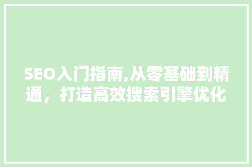 SEO入门指南,从零基础到精通，打造高效搜索引擎优化步骤  第1张