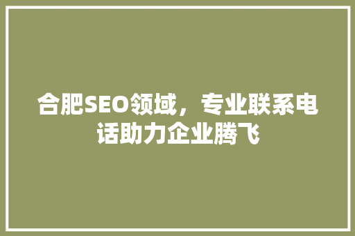 合肥SEO领域，专业联系电话助力企业腾飞