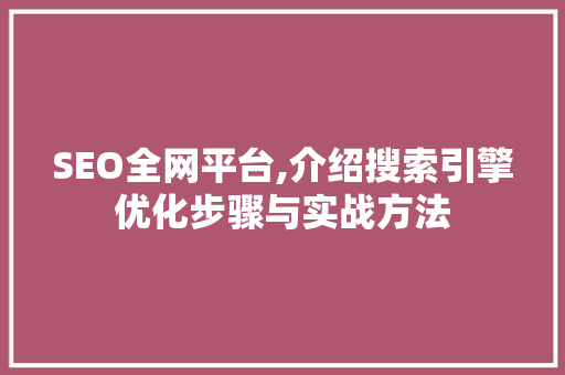 SEO全网平台,介绍搜索引擎优化步骤与实战方法