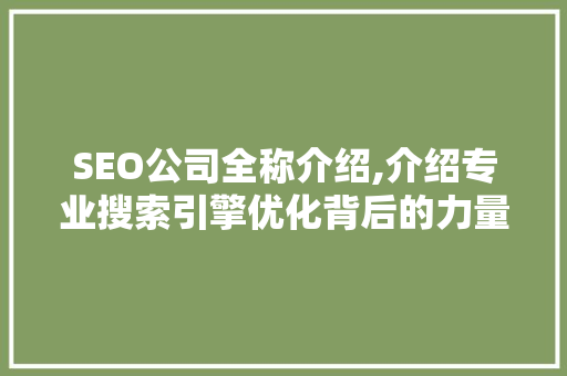 SEO公司全称介绍,介绍专业搜索引擎优化背后的力量
