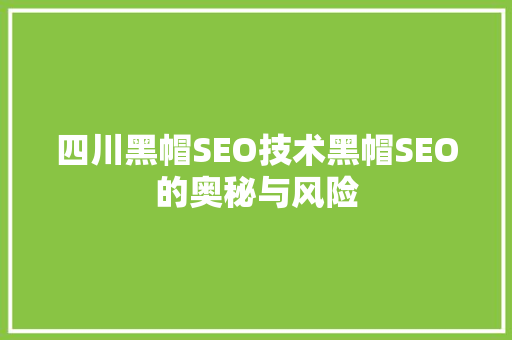 四川黑帽SEO技术黑帽SEO的奥秘与风险