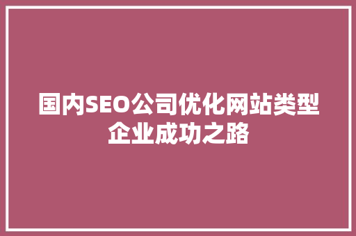 国内SEO公司优化网站类型企业成功之路