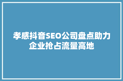 孝感抖音SEO公司盘点助力企业抢占流量高地