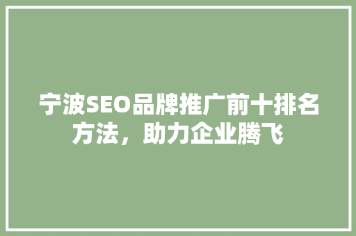 宁波SEO品牌推广前十排名方法，助力企业腾飞